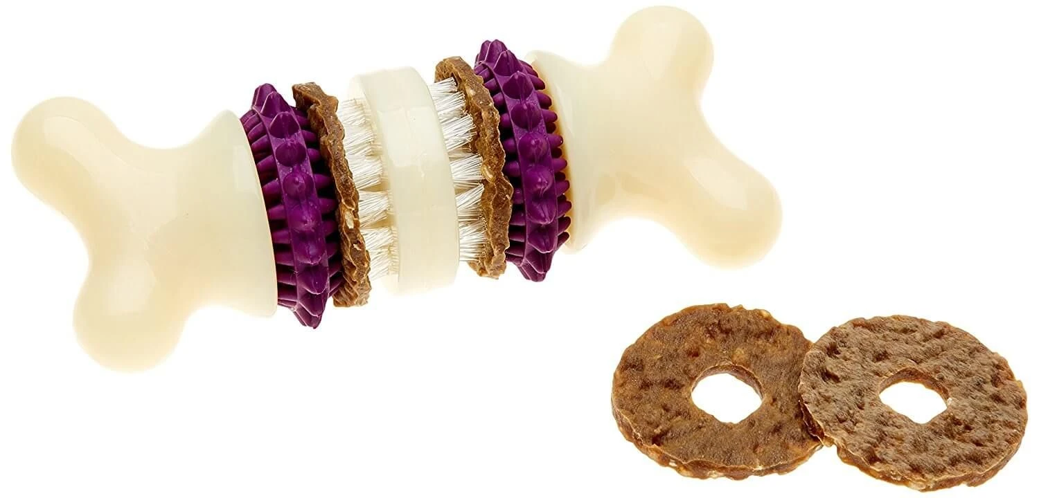 Busy Buddy Jouet Os Bristle Bone Taille S