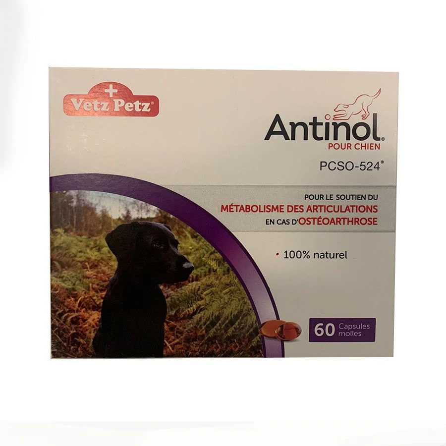 Antinol Pour Chien 60 Capsules