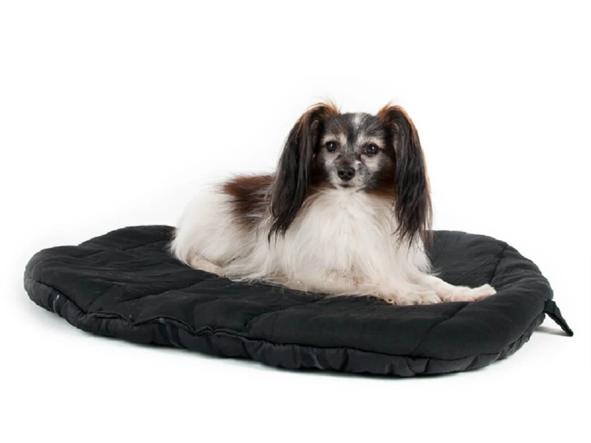 Back On Track Matelas De Voyage Pour Chien 100 X 120 Cm