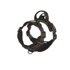 Camon Harnais Réfléchissant Chien Noir M