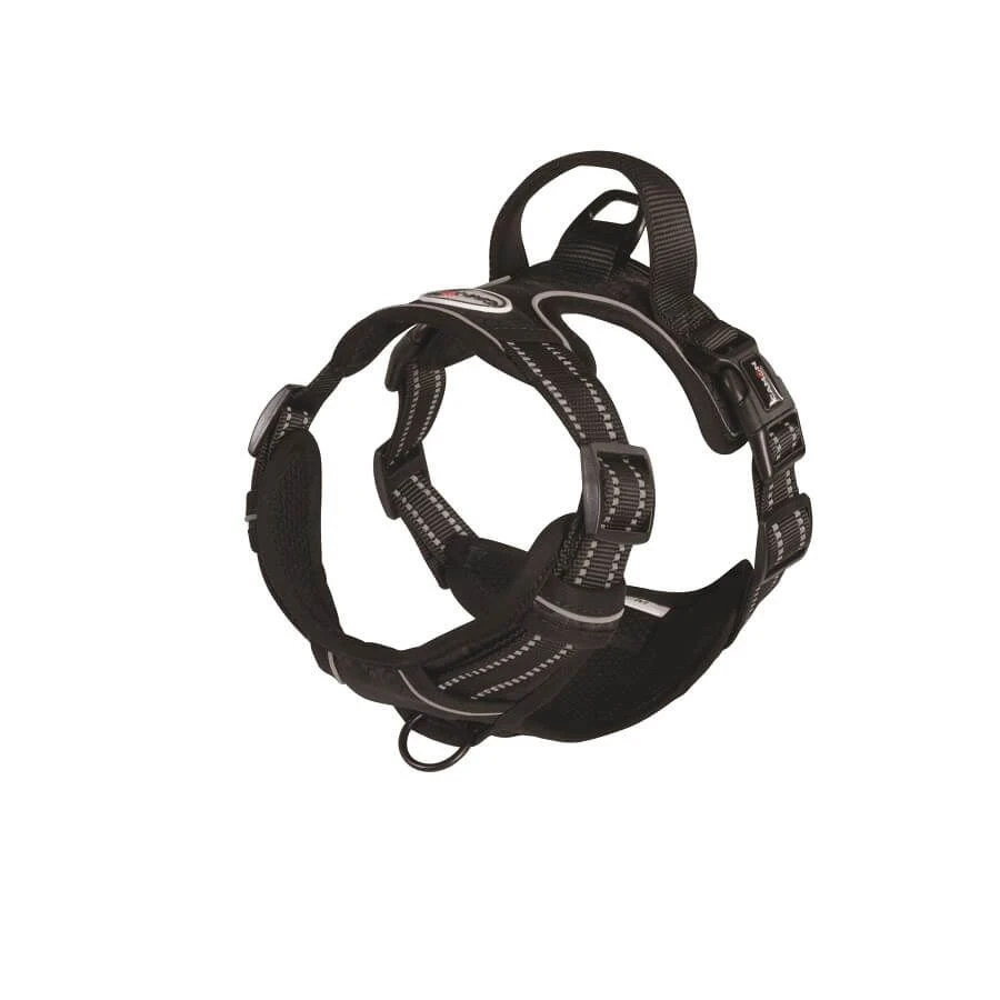Camon Harnais Réfléchissant Chien Noir M