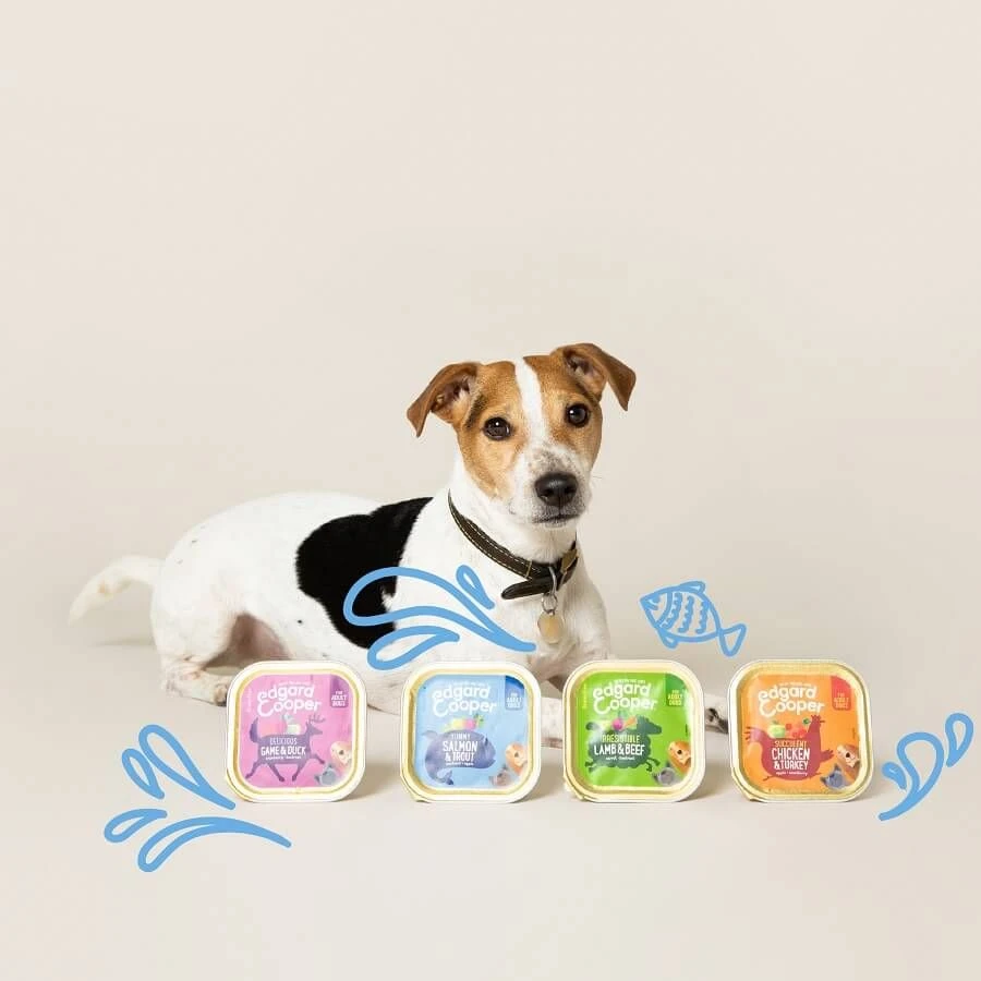 Edgard & Cooper Barquette Poulet Et Dinde Chien Adulte 11x150 G - Image 2