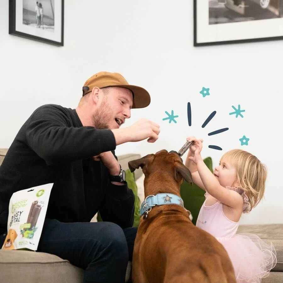 Edgard & Cooper Mach'sticks Fraise Et Menthe Grand Chien 240 G - Image 3