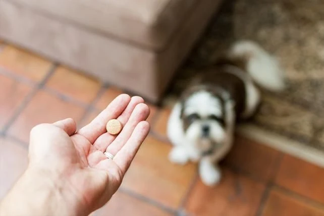 Drontal P XL Vermifuge Chien Gout Viande 2 Cps - Image 2