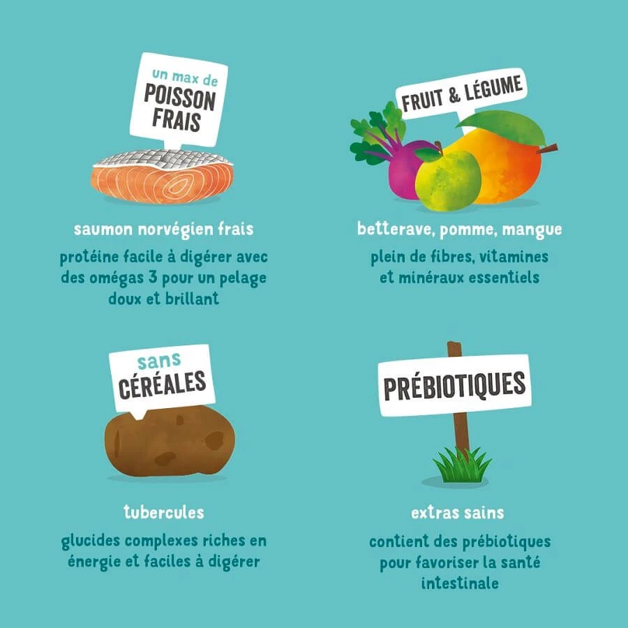 Edgard & Cooper Saumon Frais Chien Adulte 700 G - Image 7