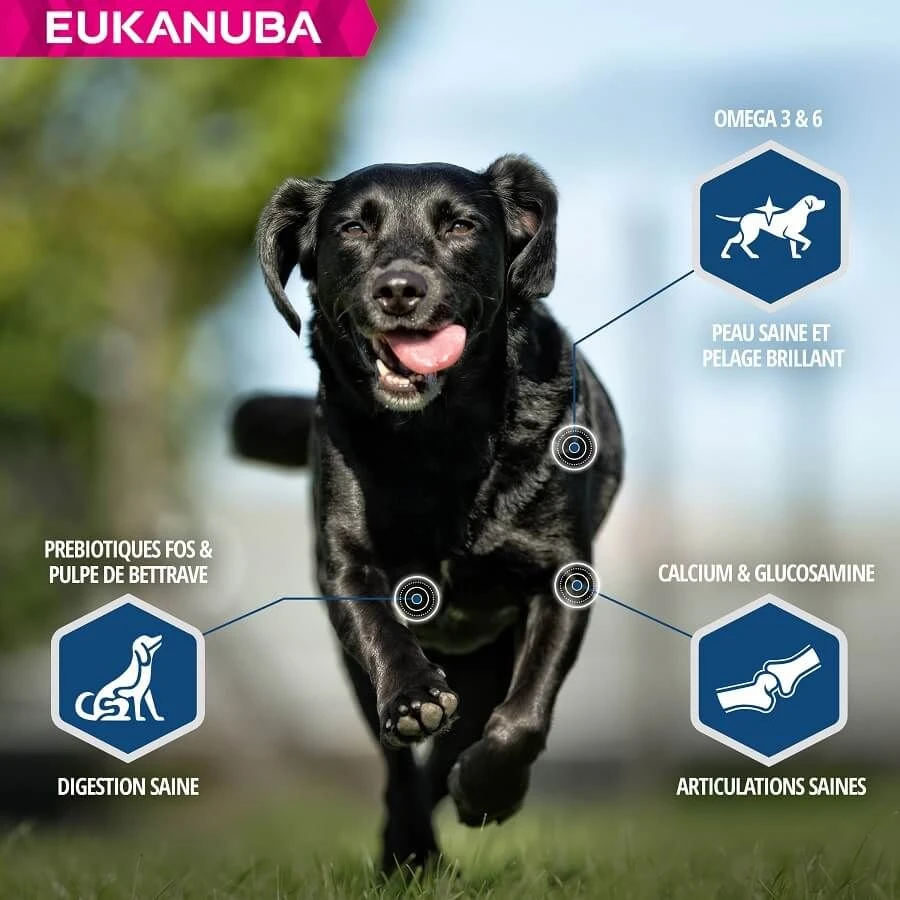 Eukanuba Chien Daily Care Surpoids Ou Stérilisé 12 Kg - Image 4