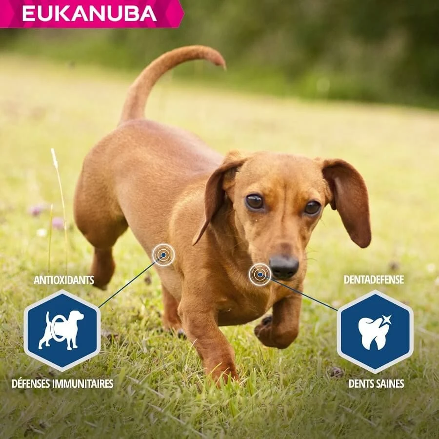 Eukanuba Chien Daily Care Surpoids Ou Stérilisé 12 Kg - Image 5