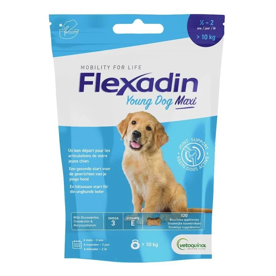 Flexadin Young Dog Maxi 120 Bouchées