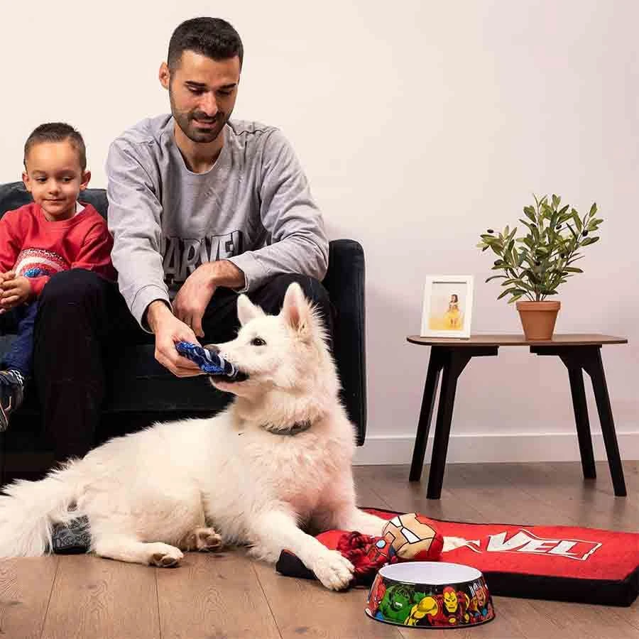 For Fan Pets Matelas Chien Marvel M - Image 2