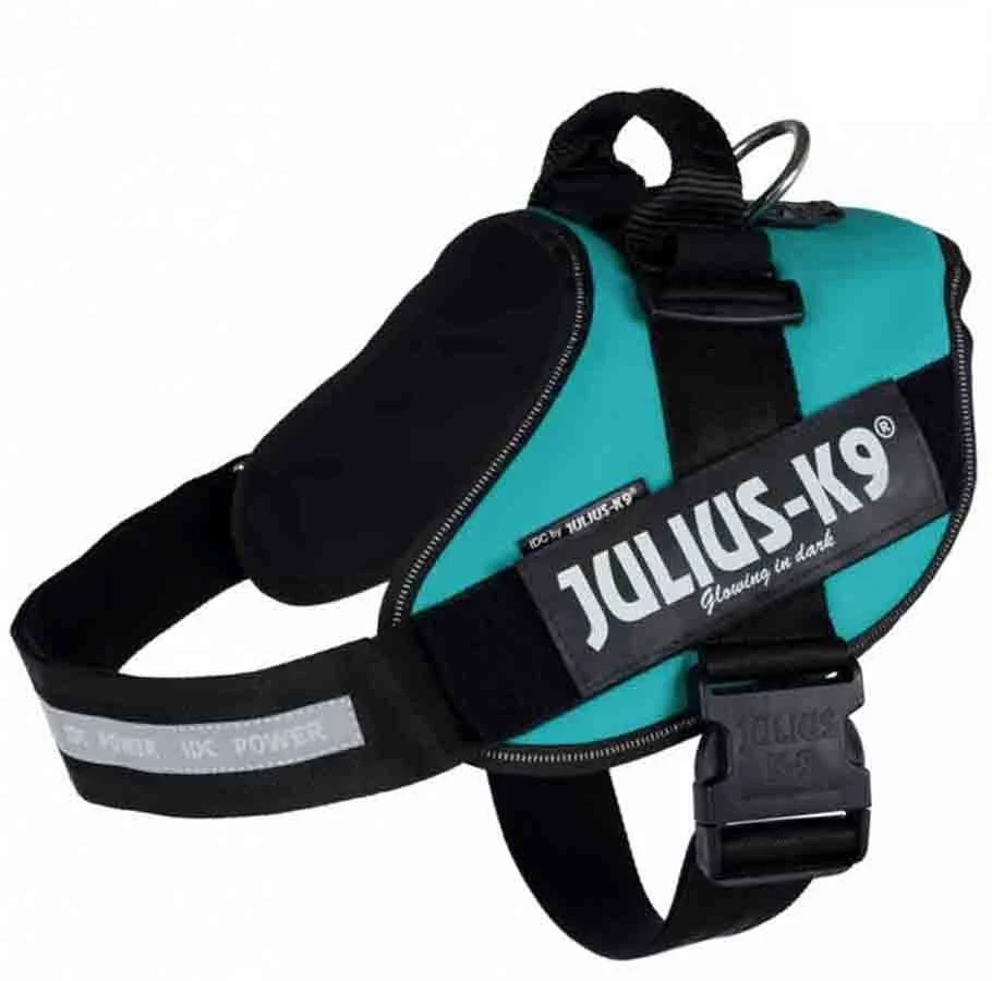 Julius K9 Harnais Power Julius-K9 IDC Pétrol L - Image 2