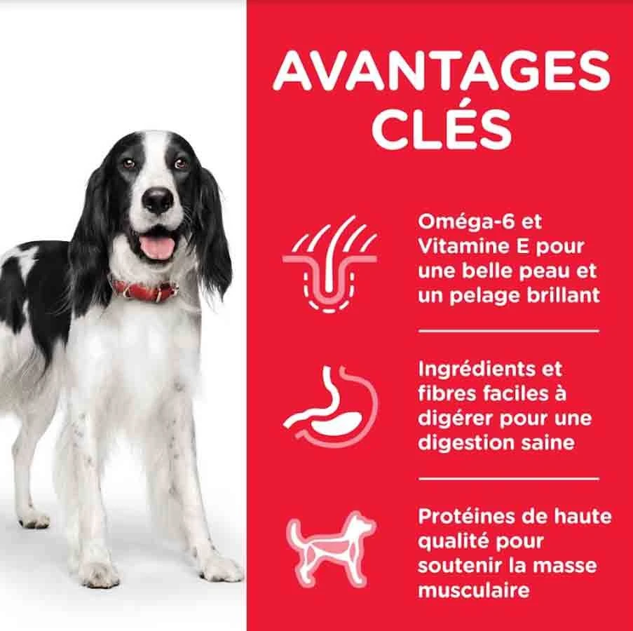 Hill's Science Plan Hill's Science Plan Canine Adult Medium Poulet 14 Kg - Image 3