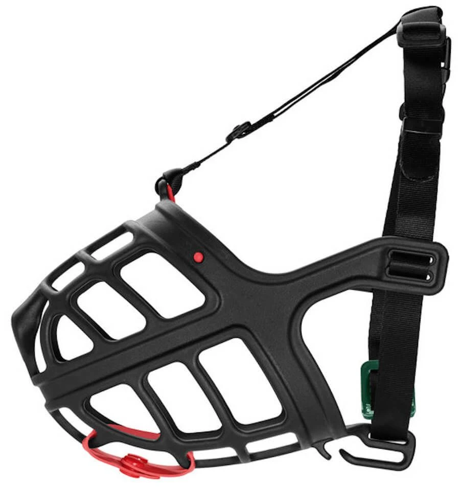 Hunter Muselière Albury T2