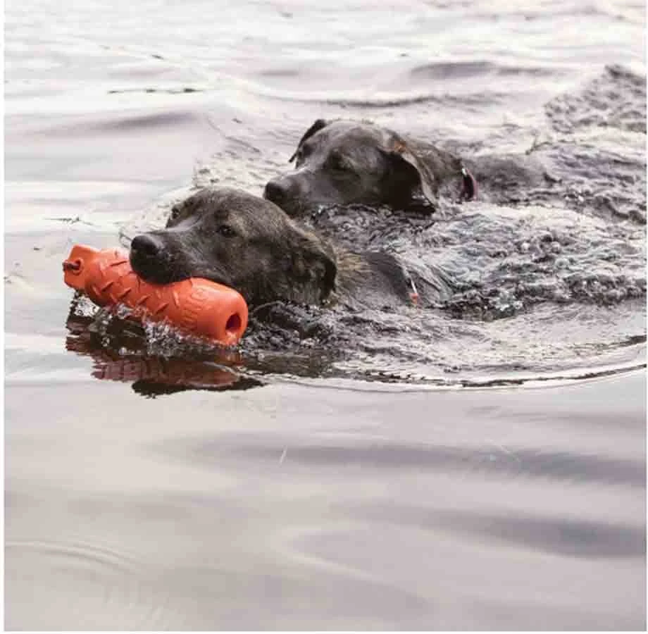 KONG Training Dummy Pour Chien L - Image 2