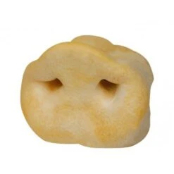 Gloria Museau De Porc 9 Cm