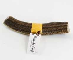 Parole De Truffes Bois De Cerf L