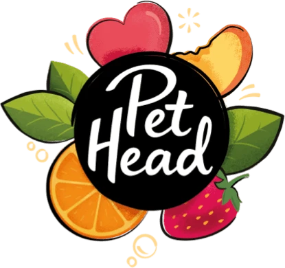 Pet Head Dry Clean 450 Ml