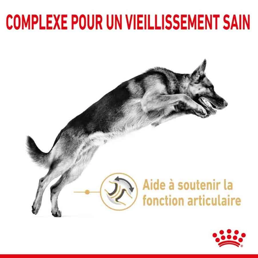 Royal Canin Berger Allemand Adult 5+ 12 Kg - Image 2