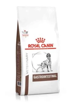 Royal Canin Vet Chien Gastrointestinal 2 Kg
