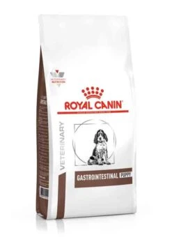 Royal Canin Vet Chien Gastrointestinal Puppy 10 Kg