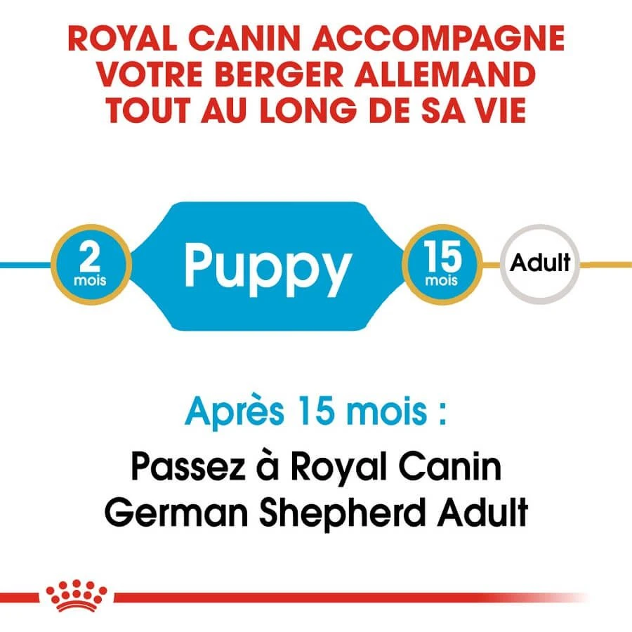 Royal Canin Berger Allemand Puppy 3 Kg - Image 2