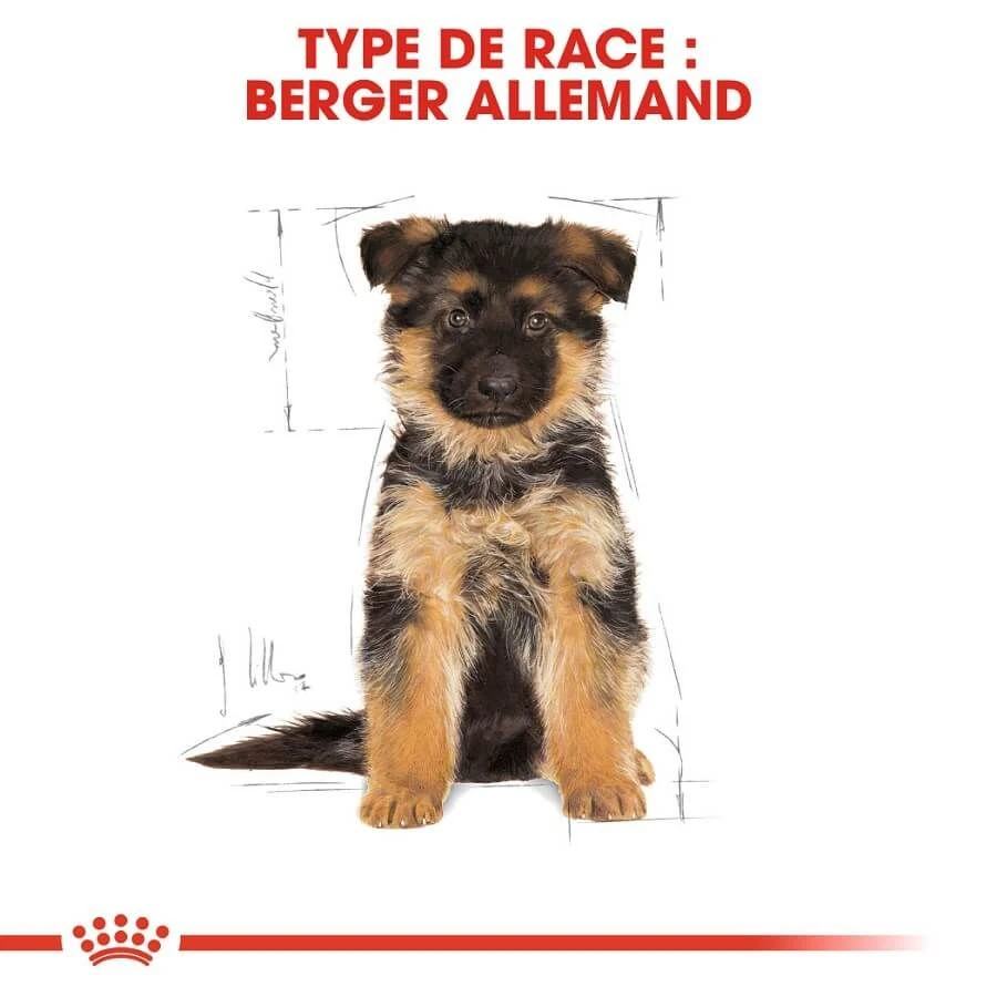 Royal Canin Berger Allemand Puppy 3 Kg - Image 6