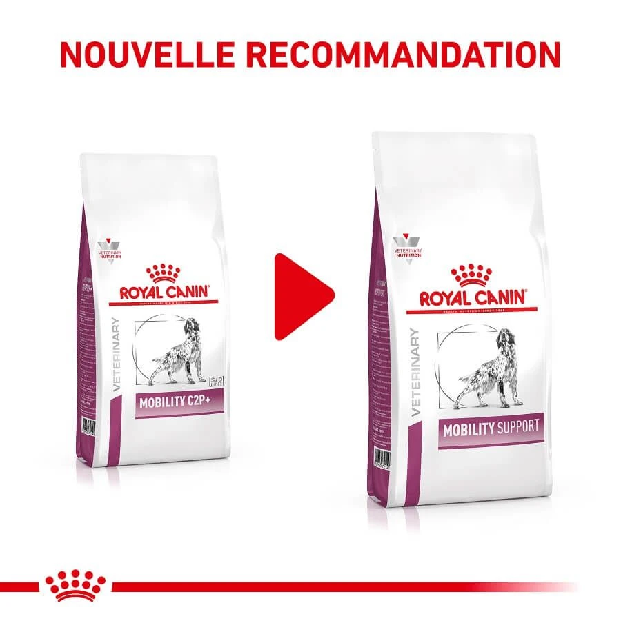 Royal Canin Vet Chien Mobility Support 7 Kg - Image 2