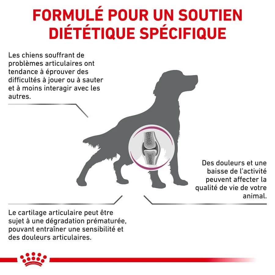 Royal Canin Vet Chien Mobility Support 7 Kg - Image 3