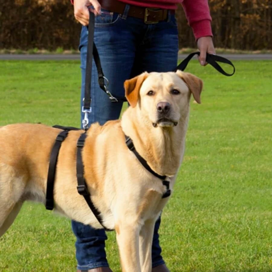 Trixie Collier Harnais De Sécurité S-M - Image 2