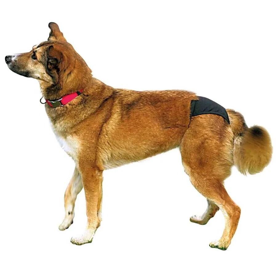 Trixie Slip De Protection Pour Chien XS - Image 2
