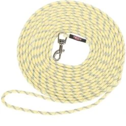 Trixie Laisse à Pister Jaune Pour Chiot 4 M