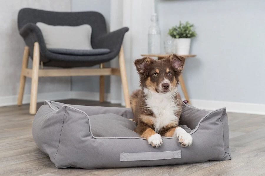 Trixie Lit Be Eco Danilo Pour Chien Gris 60 × 50 Cm - Image 2