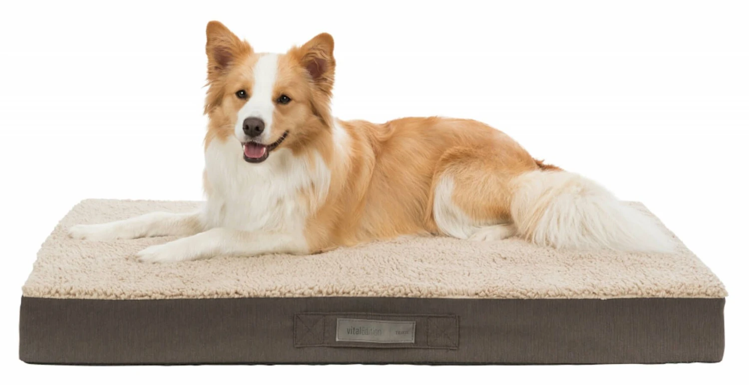 Trixie Vital Bendson Coussin Beige 120 × 72 Cm - Image 2