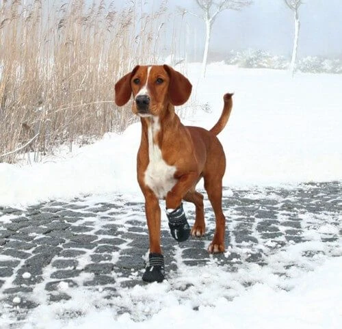 Trixie Bottes Protection Walker Active M - L X 2 - Image 2