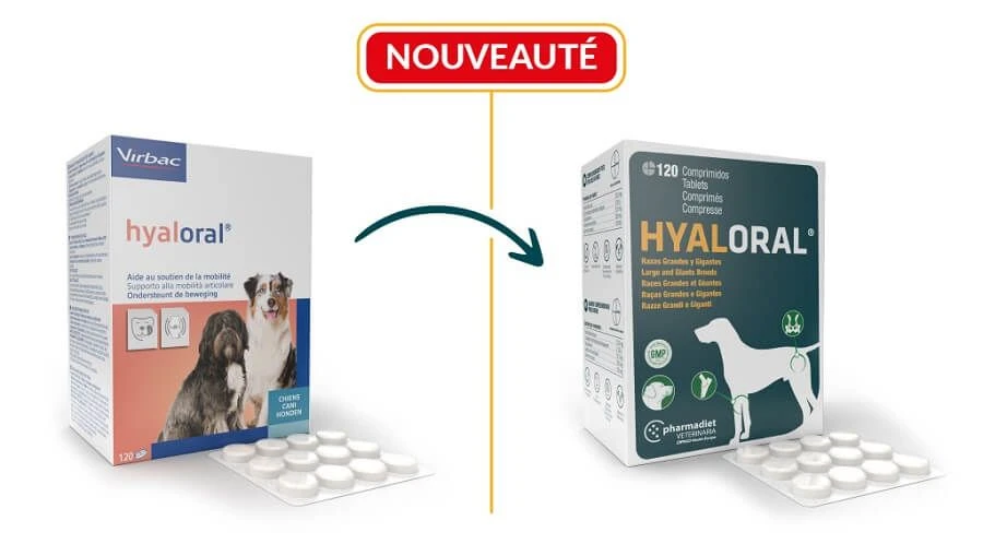 Virbac HYALORAL Chien Plus De 5 Kg 120 Cp - Image 2