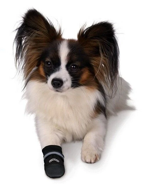 Trixie Bottes Protection Walker Care Confort XS X 2 - Image 2