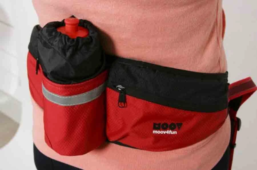 Zolux Ceinture Jogging MOOV - Image 2