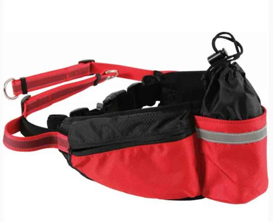 Zolux Ceinture Jogging MOOV