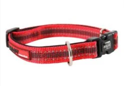 Zolux Collier Réglable MOOV Rouge 20 Mm - Destockage
