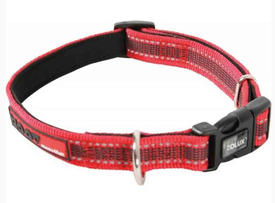 Zolux Collier Réglable MOOV Rouge 20 Mm - Destockage - Image 3